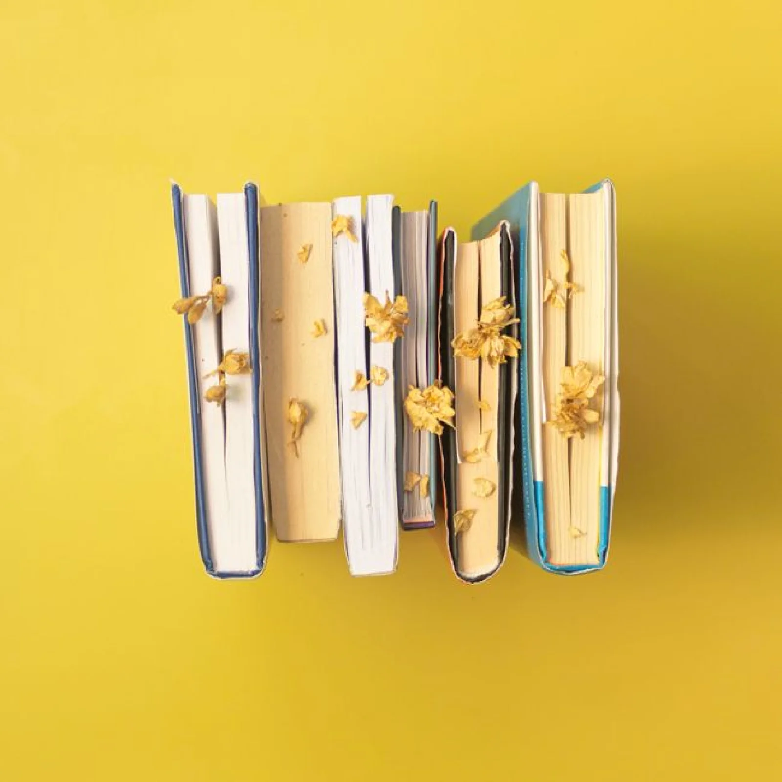 Modern Matte Cookbook