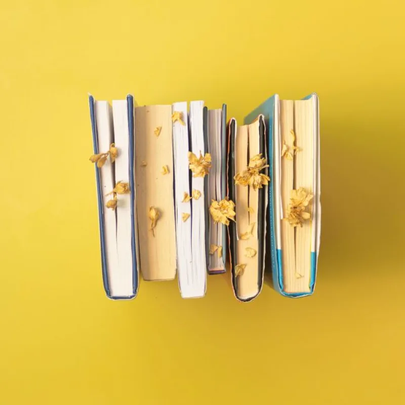 Everyday Brushed Notebook Set