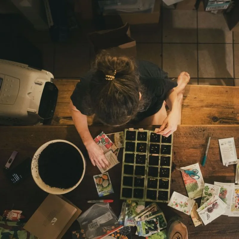 Everyday Textured Seed Kit